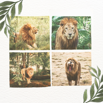 Lion Majesty Collection Microfiber Cloth 4 Pack